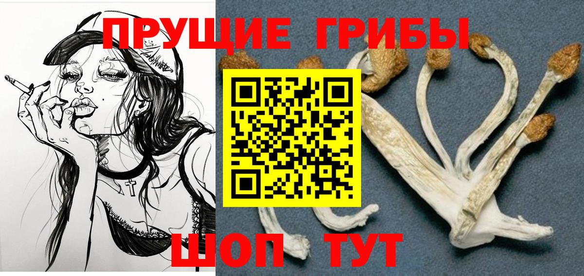 где купить наркоту  Псилоцибиновые грибы ЛСД  Вход с VPN  Костомукша  Псилоцибиновые грибы Cubensis 