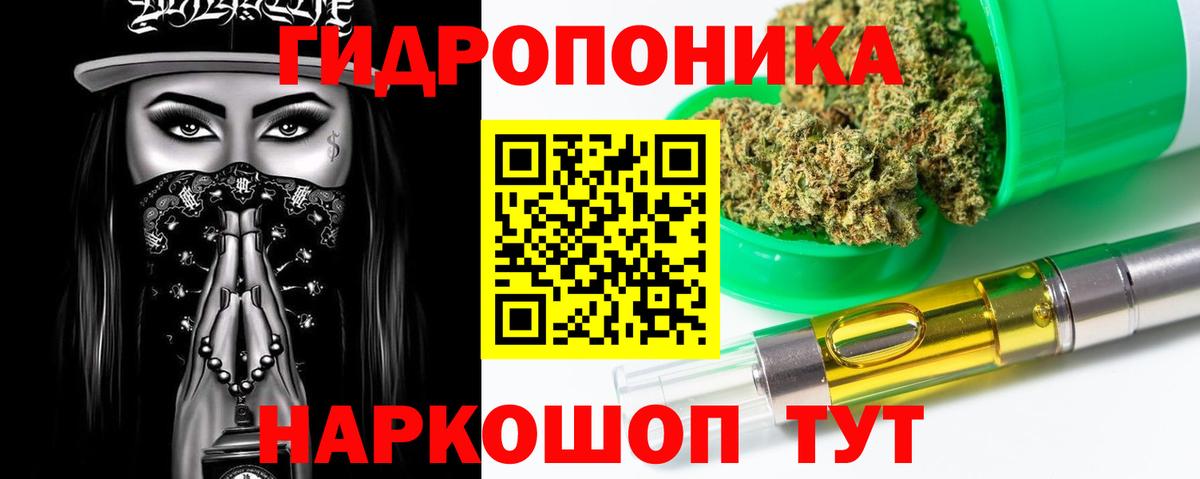 Бошки марихуана планчик  Шишки марихуана тримм  Костомукша  Канабис SATIVA & INDICA  МАРИХУАНА план  Вход с VPN 